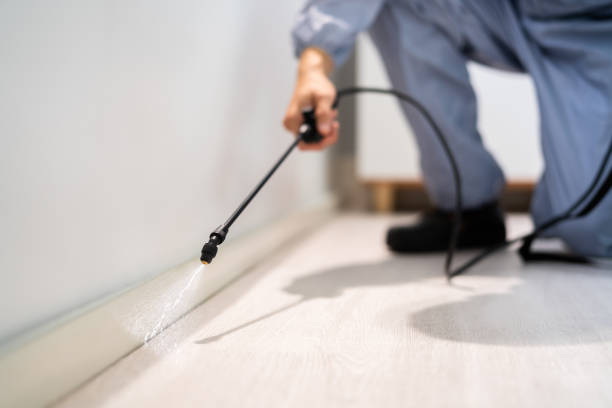 Licensed Pest Control service in North Westport, MA - Show Me Pest Control