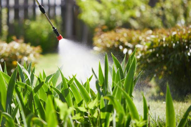 24/7 Emergency Mosquito Control experts in North Westport, MA