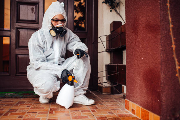 Reliable Mosquito Control contractor in North Westport, MA by Show Me Pest Control